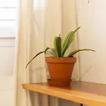 La Piccola - Free Parking Lejlighed Lugano