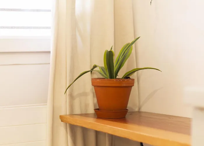 La Piccola - Free Parking Appartamento Lugano